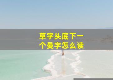 草字头底下一个曼字怎么读