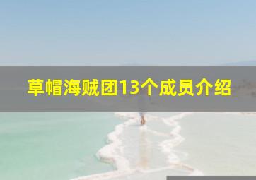 草帽海贼团13个成员介绍