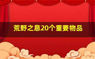 荒野之息20个重要物品