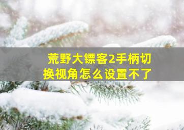 荒野大镖客2手柄切换视角怎么设置不了