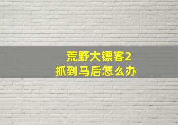 荒野大镖客2抓到马后怎么办