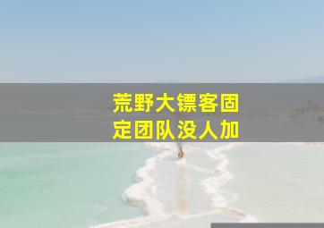 荒野大镖客固定团队没人加