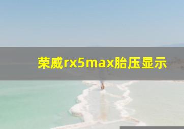 荣威rx5max胎压显示