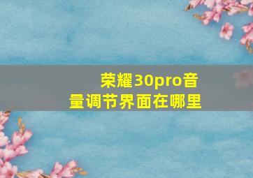 荣耀30pro音量调节界面在哪里