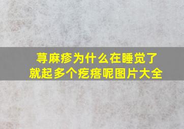 荨麻疹为什么在睡觉了就起多个疙瘩呢图片大全