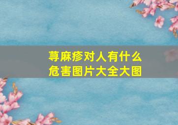 荨麻疹对人有什么危害图片大全大图