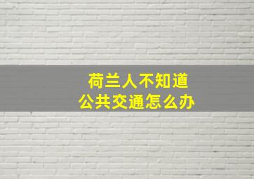 荷兰人不知道公共交通怎么办