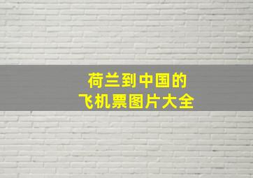 荷兰到中国的飞机票图片大全