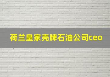 荷兰皇家壳牌石油公司ceo