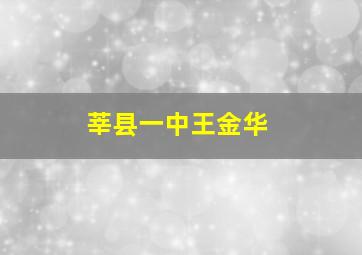 莘县一中王金华