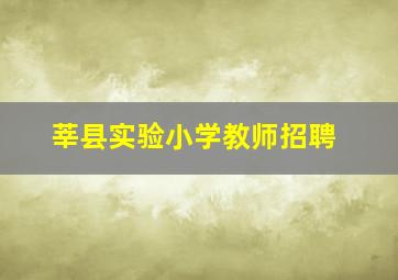 莘县实验小学教师招聘