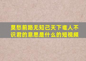 莫愁前路无知己天下谁人不识君的意思是什么的短视频