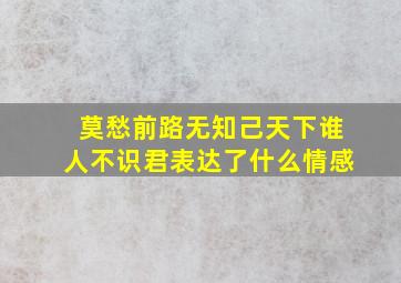 莫愁前路无知己天下谁人不识君表达了什么情感