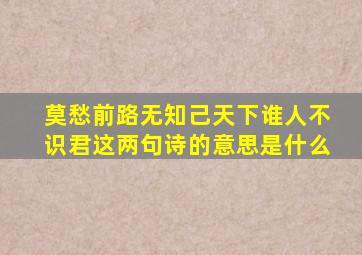 莫愁前路无知己天下谁人不识君这两句诗的意思是什么