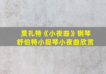 莫扎特《小夜曲》钢琴舒伯特小捉琴小夜曲欣赏