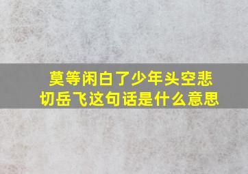 莫等闲白了少年头空悲切岳飞这句话是什么意思