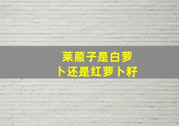 莱菔子是白萝卜还是红萝卜籽