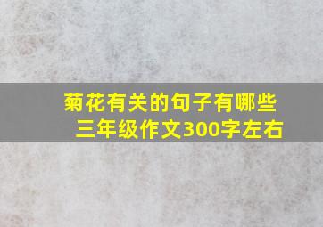 菊花有关的句子有哪些三年级作文300字左右