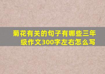 菊花有关的句子有哪些三年级作文300字左右怎么写