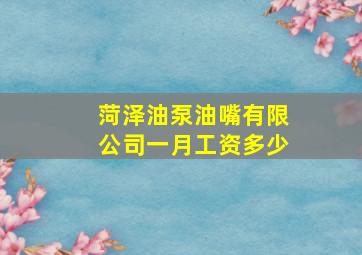 菏泽油泵油嘴有限公司一月工资多少