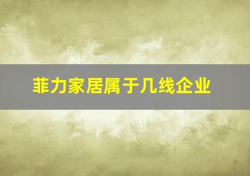 菲力家居属于几线企业