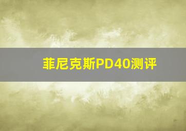 菲尼克斯PD40测评