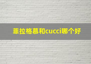 菲拉格慕和cucci哪个好