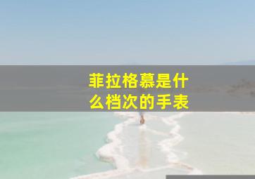 菲拉格慕是什么档次的手表