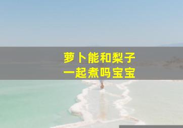 萝卜能和梨子一起煮吗宝宝