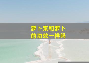 萝卜菜和萝卜的功效一样吗