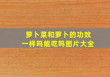 萝卜菜和萝卜的功效一样吗能吃吗图片大全