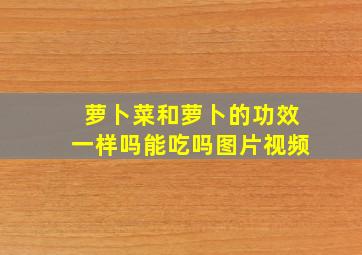 萝卜菜和萝卜的功效一样吗能吃吗图片视频