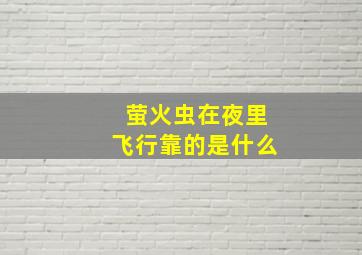 萤火虫在夜里飞行靠的是什么