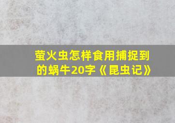 萤火虫怎样食用捕捉到的蜗牛20字《昆虫记》