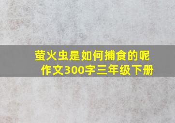 萤火虫是如何捕食的呢作文300字三年级下册