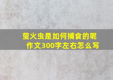 萤火虫是如何捕食的呢作文300字左右怎么写