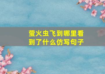 萤火虫飞到哪里看到了什么仿写句子