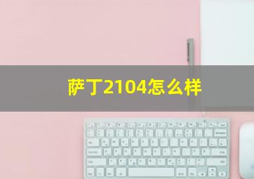 萨丁2104怎么样