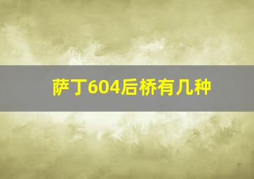 萨丁604后桥有几种