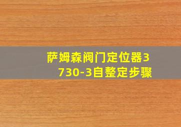 萨姆森阀门定位器3730-3自整定步骤