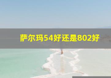 萨尔玛54好还是802好