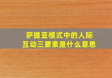 萨提亚模式中的人际互动三要素是什么意思