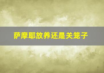 萨摩耶放养还是关笼子