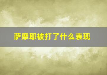 萨摩耶被打了什么表现