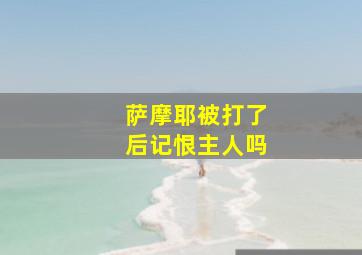 萨摩耶被打了后记恨主人吗