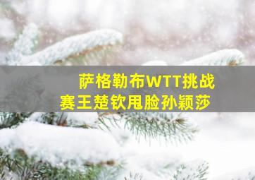 萨格勒布WTT挑战赛王楚钦甩脸孙颖莎