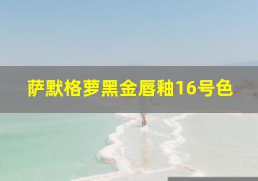 萨默格萝黑金唇釉16号色