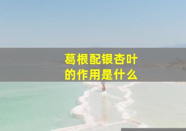 葛根配银杏叶的作用是什么