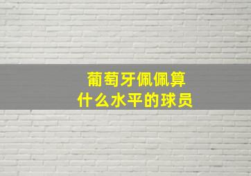 葡萄牙佩佩算什么水平的球员