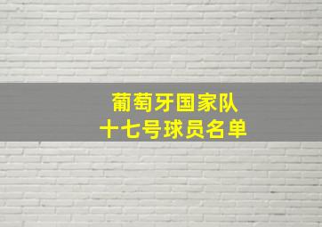 葡萄牙国家队十七号球员名单